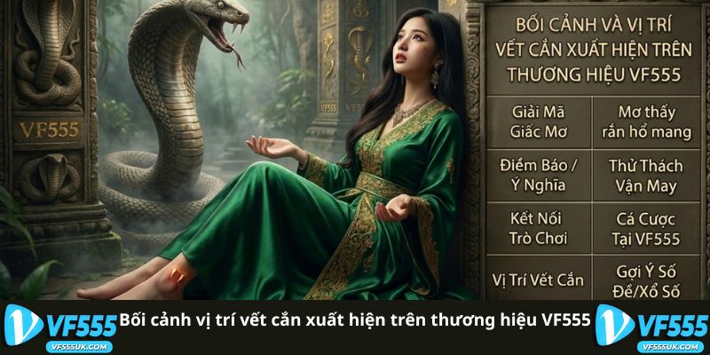 Mơ Thấy Rắn Hổ Mang Cắn - Biểu Tượng Trong Văn Hóa Việt 2 Bối cảnh vị trí vết cắn trong giấc mơ