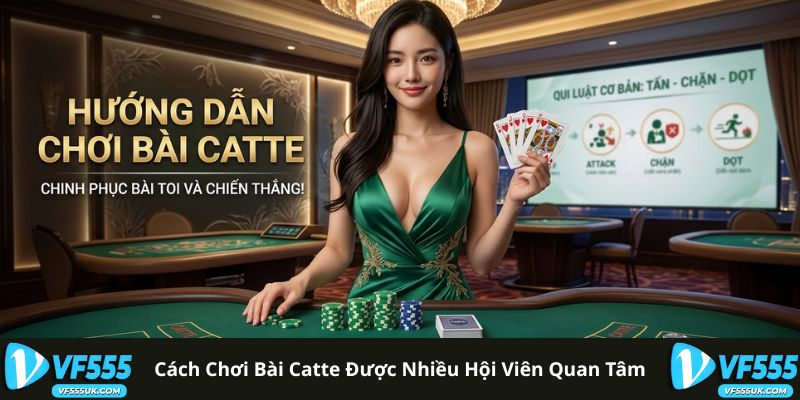 Luật chơi bài Catte