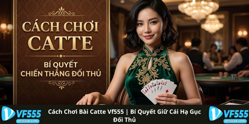 Cách Chơi Bài Catte VF555 | Bí Quyết Giữ Cái Hạ Gục Đối Thủ