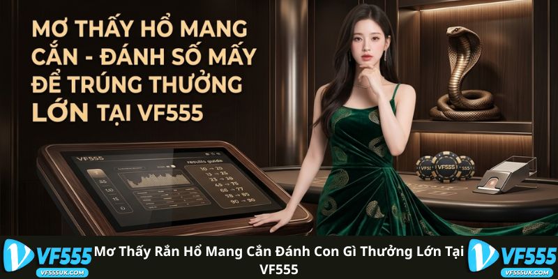 Mơ Thấy Rắn Hổ Mang Cắn Đánh Con Gì Thưởng Lớn Tại VF555
